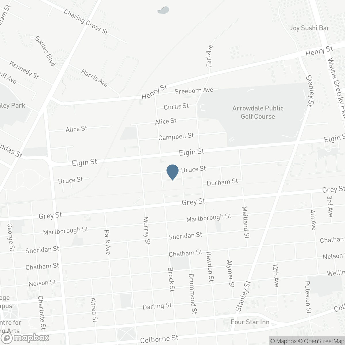 141 BRUCE Street, Brantford, Ontario N3S 4Z2